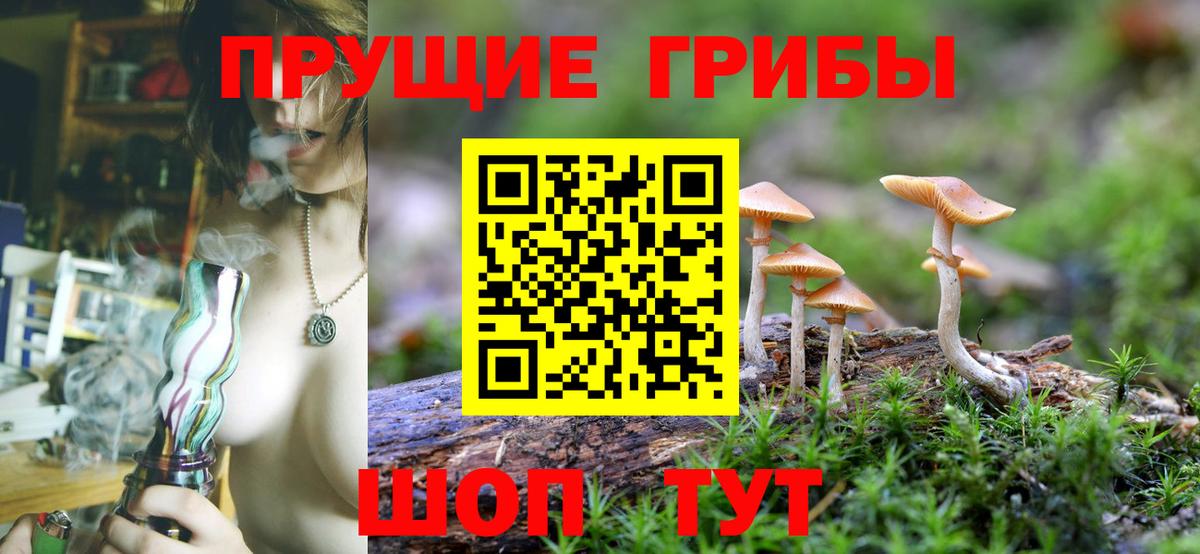 Псилоцибиновые грибы Magic Shrooms Щёлково
