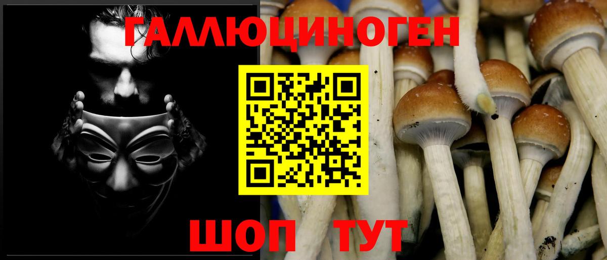 Псилоцибиновые грибы Psilocybe  Вход с VPN  Галлюциногенные грибы ЛСД  Щёлково 